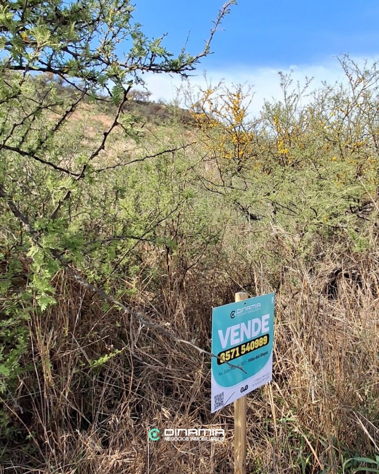 LOTE EN ZONA EN PLENO CRECIMIENTO, AL PIE DEL CERRO EN VILLA DEL DIQUE