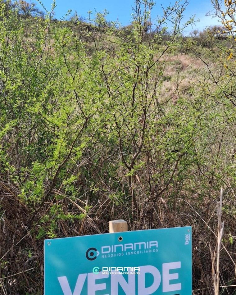 LOTE EN ZONA EN PLENO CRECIMIENTO, AL PIE DEL CERRO EN VILLA DEL DIQUE