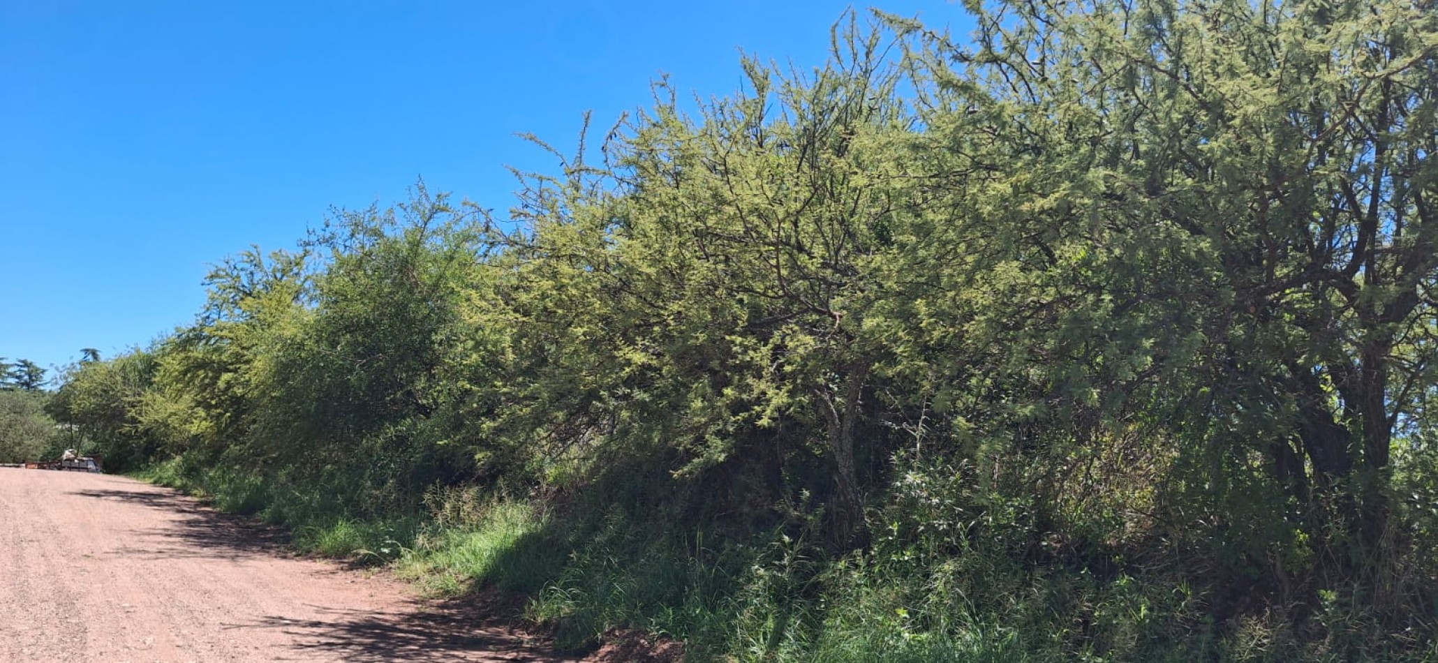 SE VENDEN 4 LOTES JUNTOS EN ZONA NAUTICA, VILLA DEL DIQUE