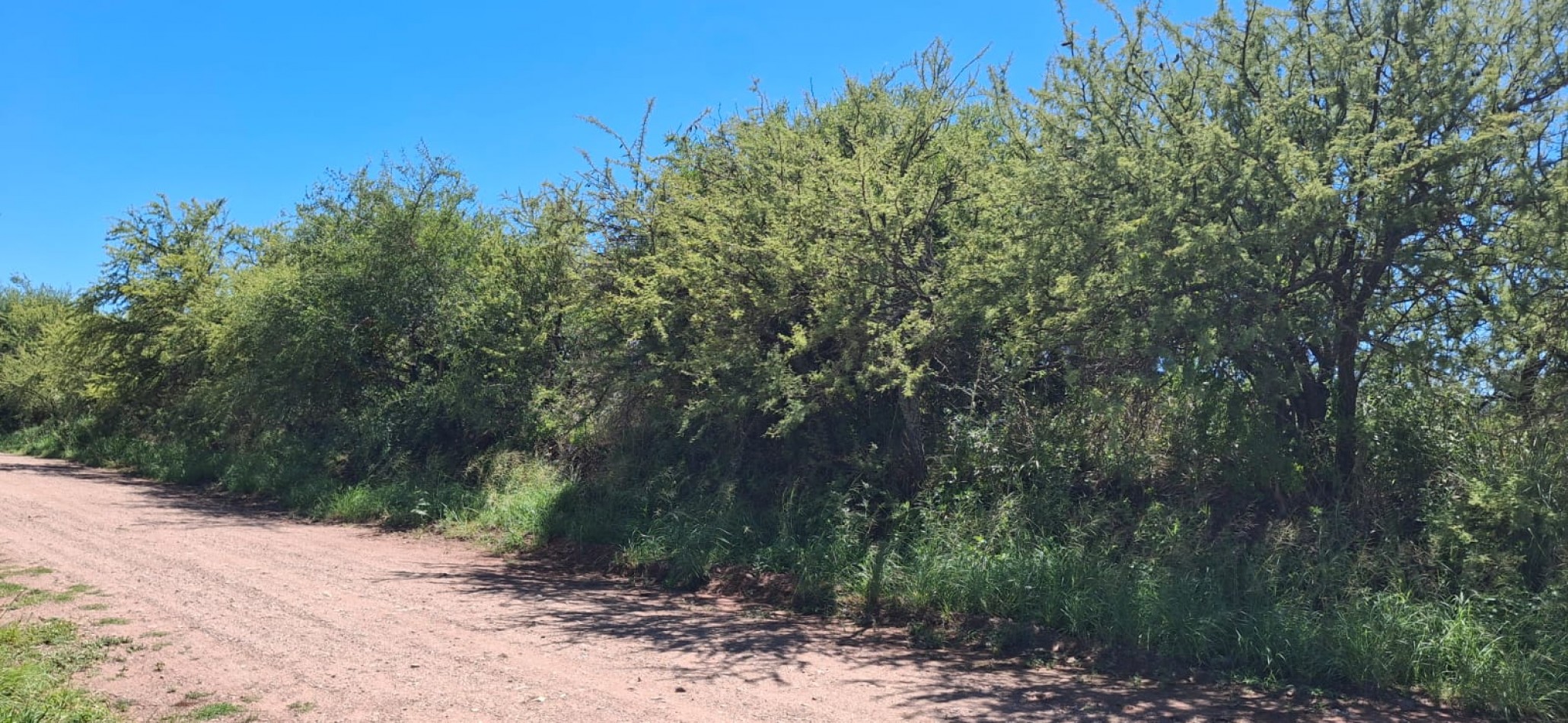 SE VENDEN 4 LOTES JUNTOS EN ZONA NAUTICA, VILLA DEL DIQUE