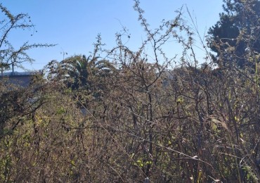 HERMOSO LOTE EN VILLA GUADALUPE - VILLA DEL DIQUE 