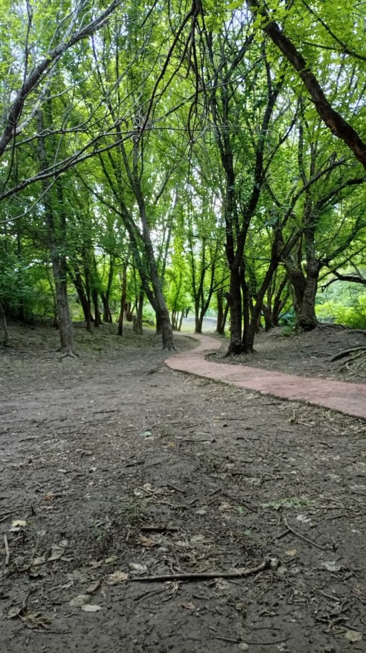 SE VENDE LOTE EN VILLA AMANCAY 