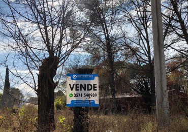 NUEVO INGRESO EN SAN IGNACIO