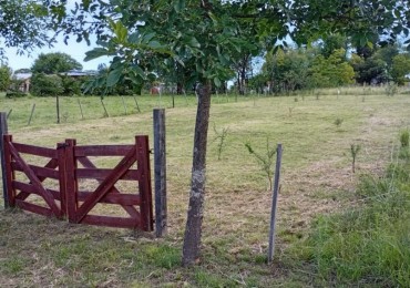 SE VENDE LOTE EN VILLA AMANCAY 