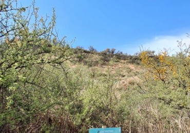 LOTE EN ZONA EN PLENO CRECIMIENTO, AL PIE DEL CERRO EN VILLA DEL DIQUE