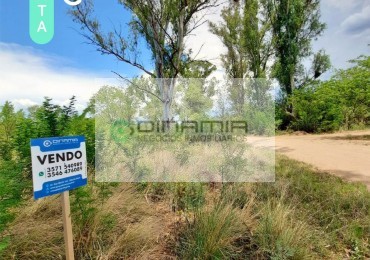 SE VENDE TERRENO EN VILLA DEL PARQUE